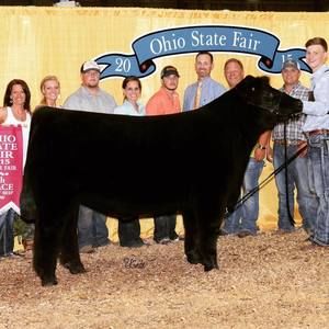 Meet your Posher, Colby